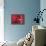Red Blood Cells-David Mack-Framed Premier Image Canvas displayed on a wall