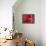 Red Blood Cells-David Mack-Framed Premier Image Canvas displayed on a wall