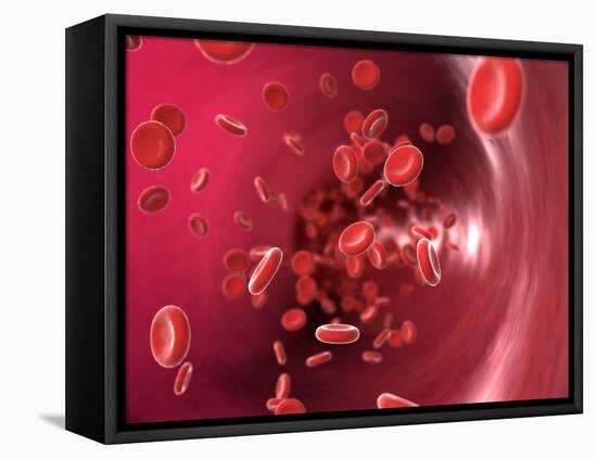 Red Blood Cells-David Mack-Framed Premier Image Canvas