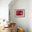 Red Blood Cells-David Mack-Framed Photographic Print displayed on a wall