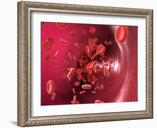 Red Blood Cells-David Mack-Framed Photographic Print