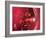 Red Blood Cells-David Mack-Framed Photographic Print