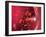 Red Blood Cells-David Mack-Framed Photographic Print