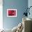 Red Blood Cells-David Mack-Framed Photographic Print displayed on a wall