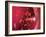 Red Blood Cells-David Mack-Framed Photographic Print