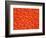 Red Blood Cells-null-Framed Photographic Print