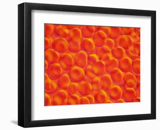 Red Blood Cells-null-Framed Photographic Print