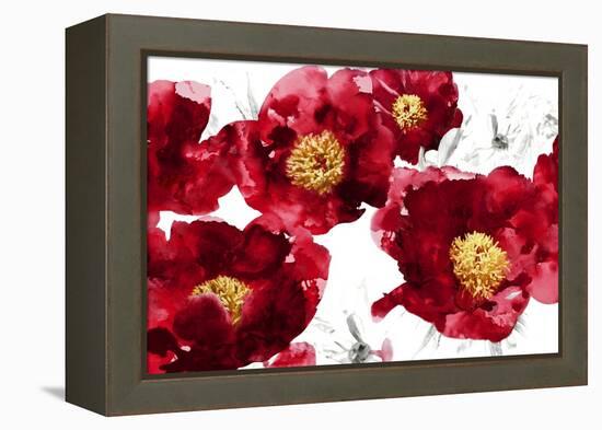 Red Bloom-Vanessa Austin-Framed Stretched Canvas