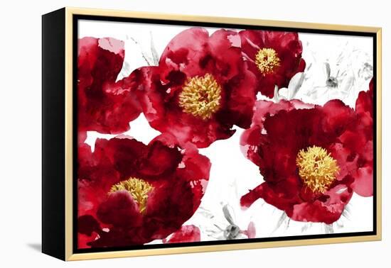 Red Bloom-Vanessa Austin-Framed Stretched Canvas