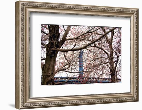 Red Blooms in Brooklyn-Erin Clark-Framed Art Print