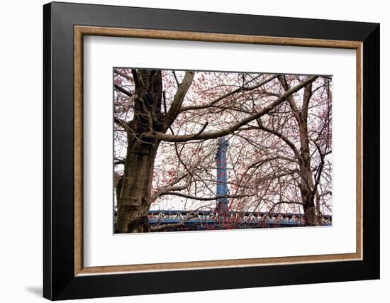 Red Blooms in Brooklyn-Erin Clark-Framed Art Print