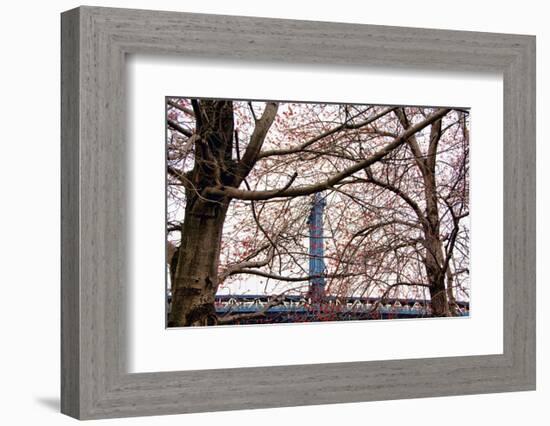 Red Blooms in Brooklyn-Erin Clark-Framed Art Print