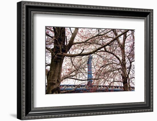 Red Blooms in Brooklyn-Erin Clark-Framed Art Print