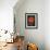 Red Blossom on Black Stones-Uwe Merkel-Framed Photographic Print displayed on a wall
