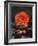 Red Blossom on Black Stones-Uwe Merkel-Framed Photographic Print