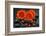 Red Blossoms on Black Stones-Uwe Merkel-Framed Photographic Print