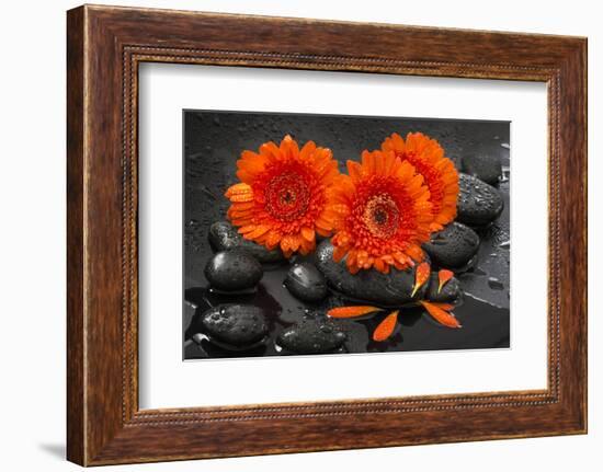 Red Blossoms on Black Stones-Uwe Merkel-Framed Photographic Print