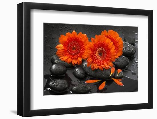 Red Blossoms on Black Stones-Uwe Merkel-Framed Photographic Print