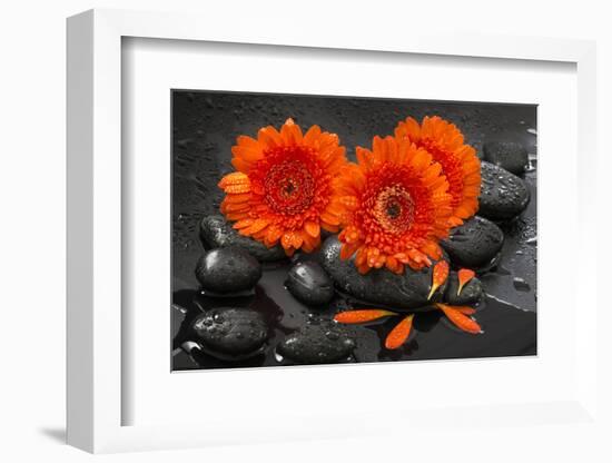 Red Blossoms on Black Stones-Uwe Merkel-Framed Photographic Print