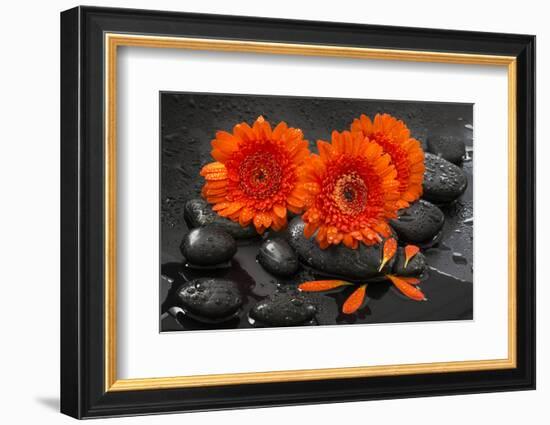 Red Blossoms on Black Stones-Uwe Merkel-Framed Photographic Print