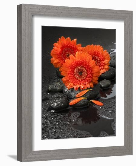 Red Blossoms on Black Stones-Uwe Merkel-Framed Photographic Print