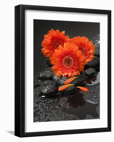 Red Blossoms on Black Stones-Uwe Merkel-Framed Photographic Print