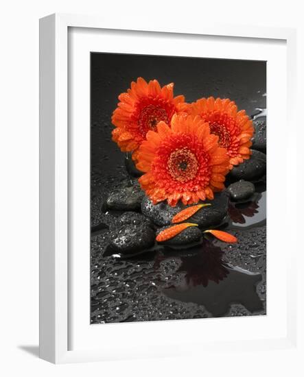 Red Blossoms on Black Stones-Uwe Merkel-Framed Photographic Print