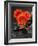 Red Blossoms on Black Stones-Uwe Merkel-Framed Photographic Print