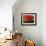 Red Boat-Charles Bowman-Framed Photographic Print displayed on a wall