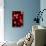 Red Bokeh-Erin Berzel-Photographic Print displayed on a wall