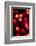 Red Bokeh-Erin Berzel-Framed Photographic Print