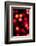 Red Bokeh-Erin Berzel-Framed Photographic Print