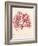 Red Botanical Study I-Kimberly Poloson-Framed Art Print