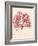 Red Botanical Study I-Kimberly Poloson-Framed Art Print