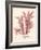 Red Botanical Study IV-Kimberly Poloson-Framed Art Print