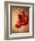 Red Boxing Gloves-null-Framed Photographic Print