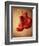 Red Boxing Gloves-null-Framed Photographic Print