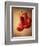 Red Boxing Gloves-null-Framed Photographic Print