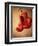 Red Boxing Gloves-null-Framed Photographic Print