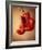 Red Boxing Gloves-null-Framed Photographic Print