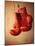 Red Boxing Gloves-null-Mounted Photographic Print