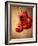 Red Boxing Gloves-null-Framed Photographic Print