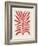 Red Branch / Lino Print-Alisa Galitsyna-Framed Giclee Print