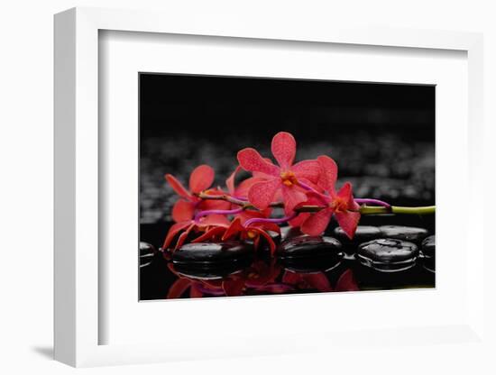 Red Branch Orchid Flower and Therapy Stones-crystalfoto-Framed Photographic Print