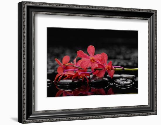 Red Branch Orchid Flower and Therapy Stones-crystalfoto-Framed Photographic Print