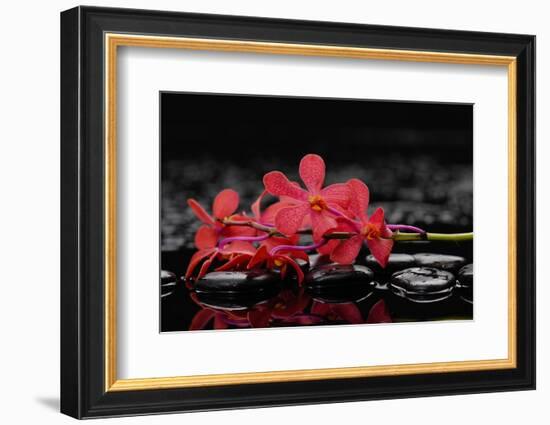 Red Branch Orchid Flower and Therapy Stones-crystalfoto-Framed Photographic Print