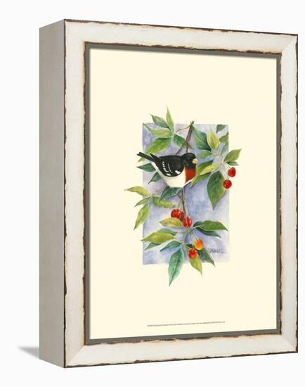 Red-Breasted Grosbeak-Janet Mandel-Framed Stretched Canvas