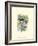 Red-Breasted Grosbeak-Janet Mandel-Framed Premium Giclee Print