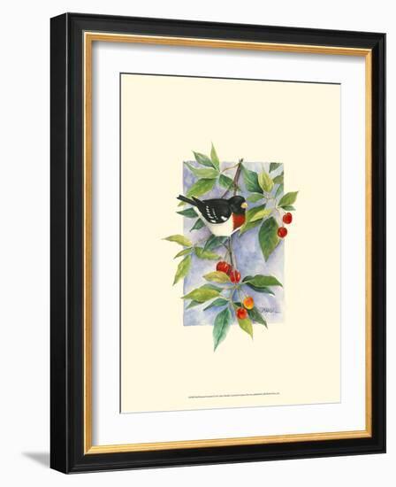 Red-Breasted Grosbeak-Janet Mandel-Framed Premium Giclee Print