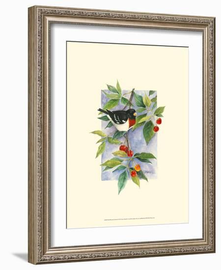 Red-Breasted Grosbeak-Janet Mandel-Framed Art Print